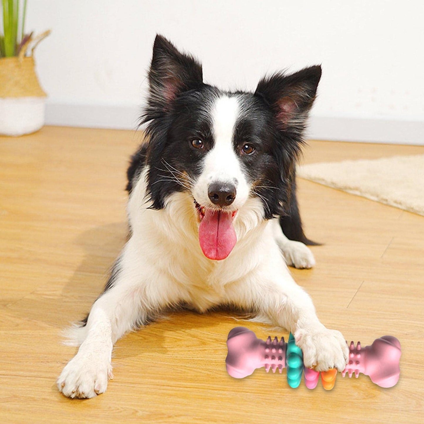 Dogs Teeth Cleaning Toys